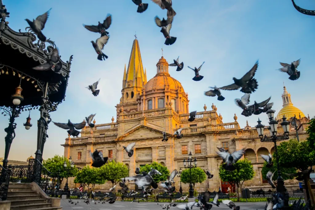 Guadalajara cathedral with pigeons at golden hour