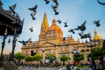 Guadalajara cathedral with pigeons at golden hour